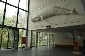 Licenciatura em Ciências do Mar