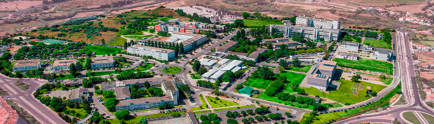 Faculdade de Ciências e Tecnologia background