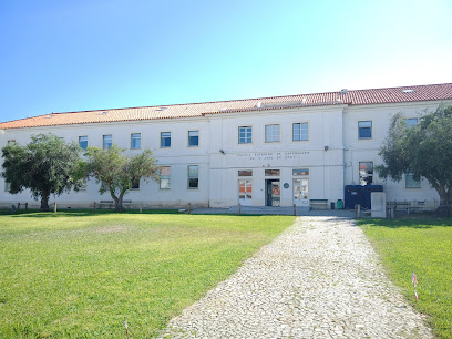 Licenciatura em Enfermagem