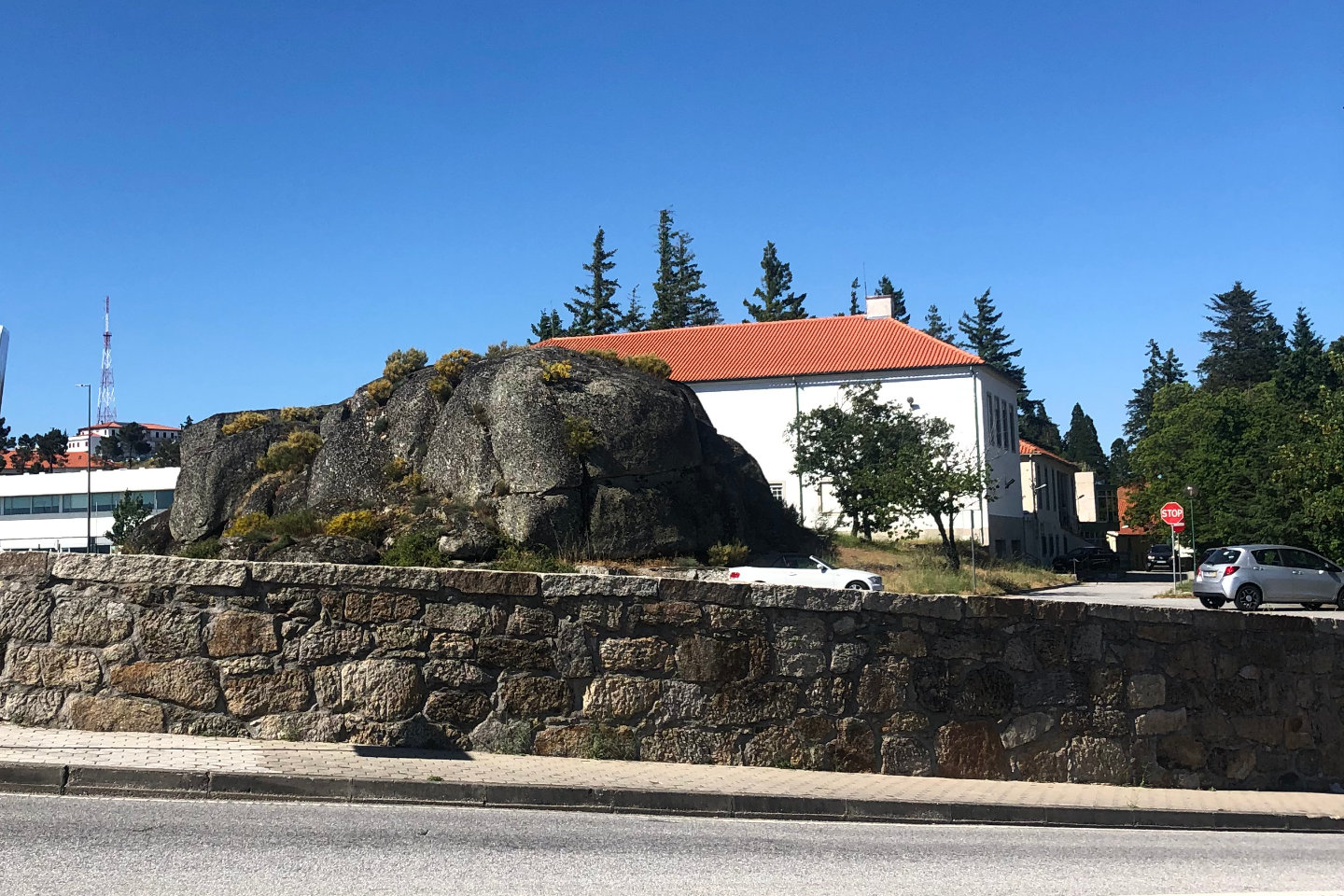 Licenciatura em Biotecnologia Medicinal