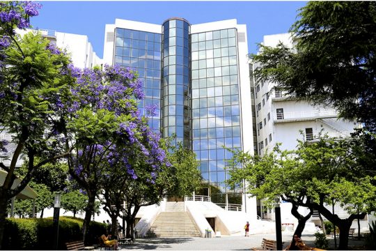 Faculdade de Ciências Sociais e Humanas background