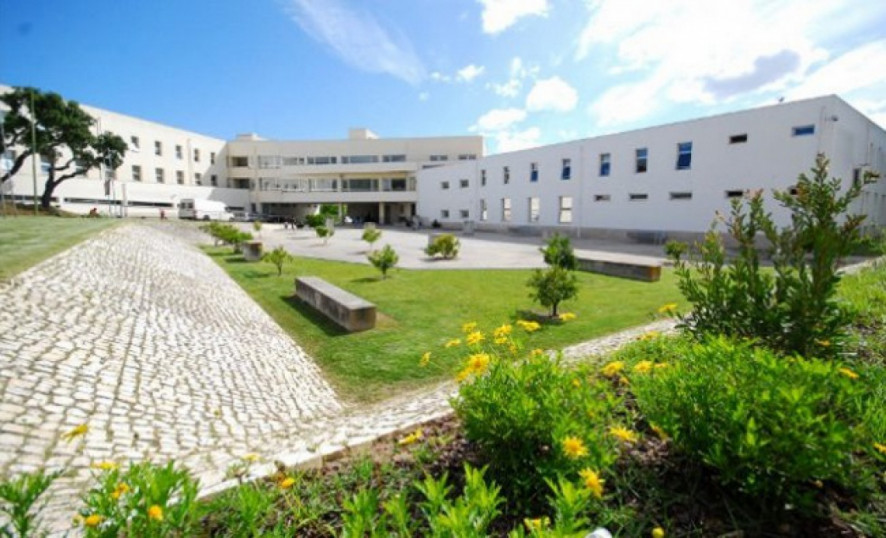 Mestrado em Terapia da Fala