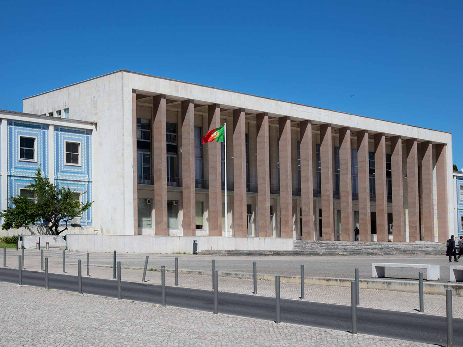 Human Diseases Models Morphological Phenotyping