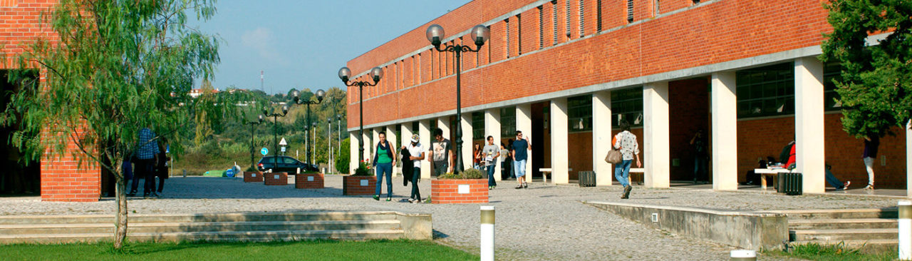 International Master in Quaternary and Prehistory